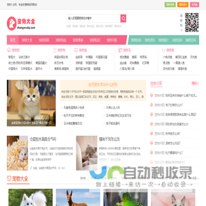 研姿蒂