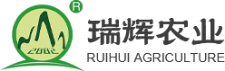 瑞辉农业_香菇_赤松茸_门源瑞辉高原现代农业种植养殖有限公司
